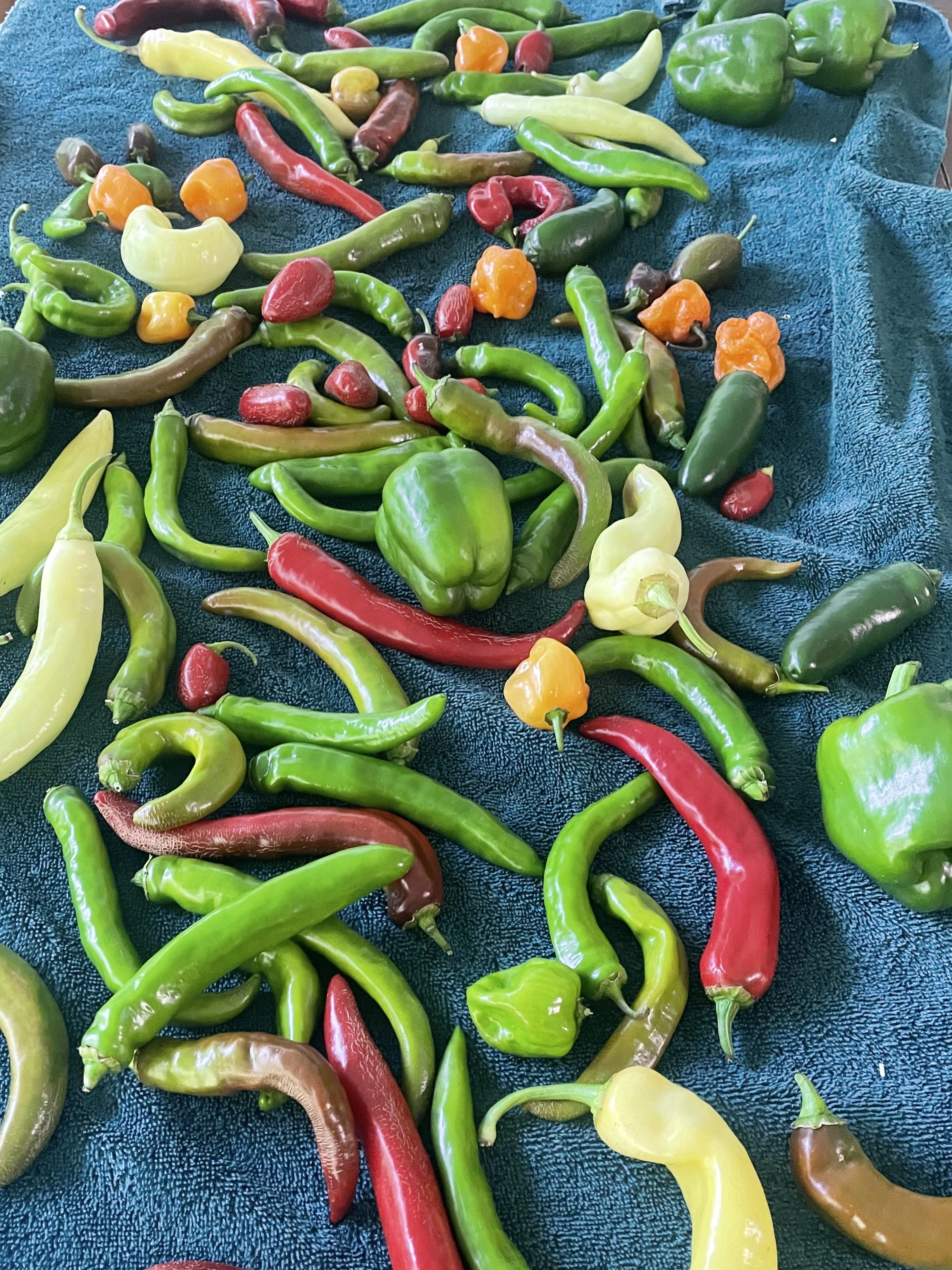 Seasonal Peppers