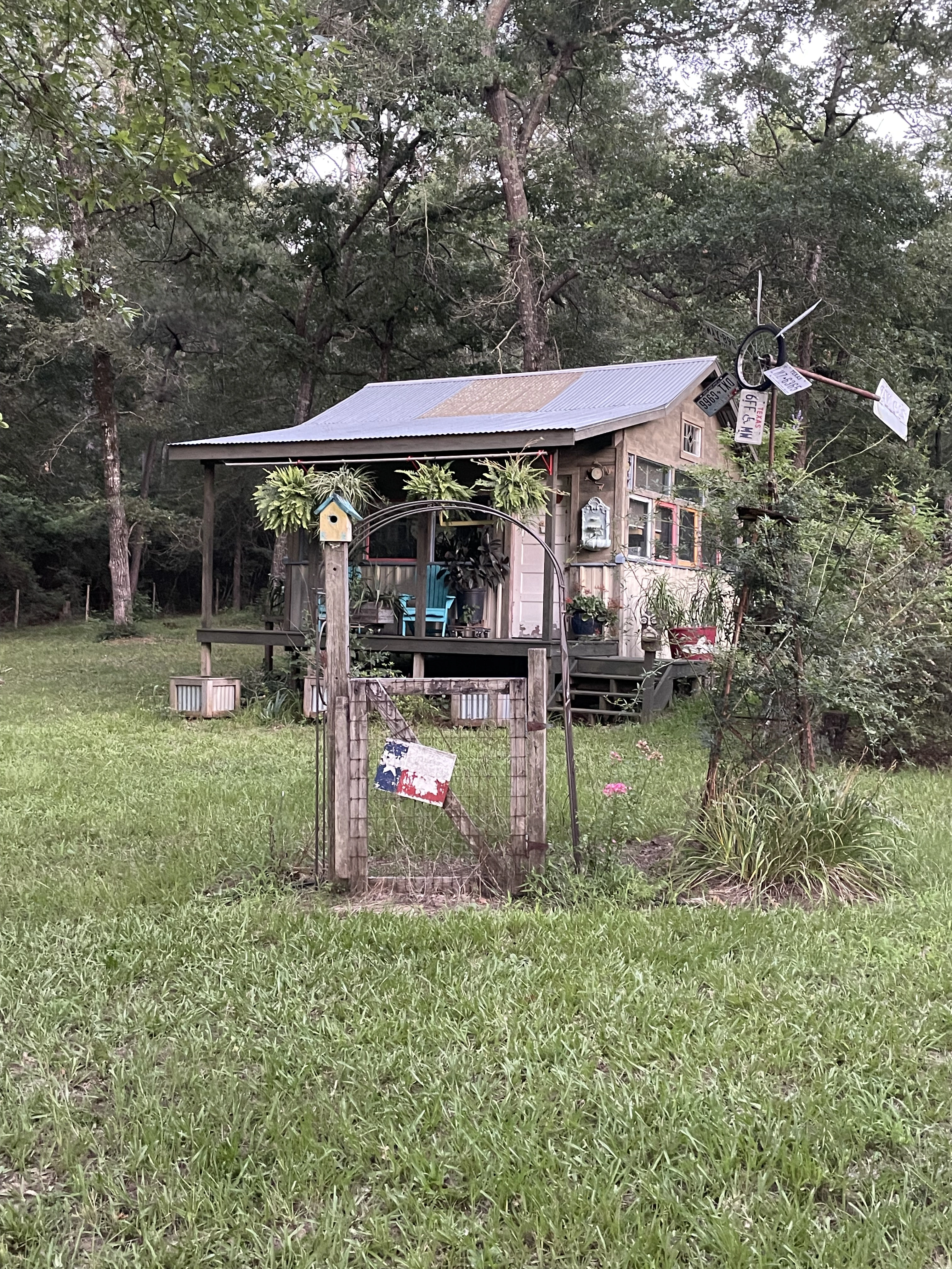 From The She-Shed - Indoor Plants